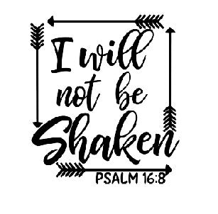 I will not be shaken dtf